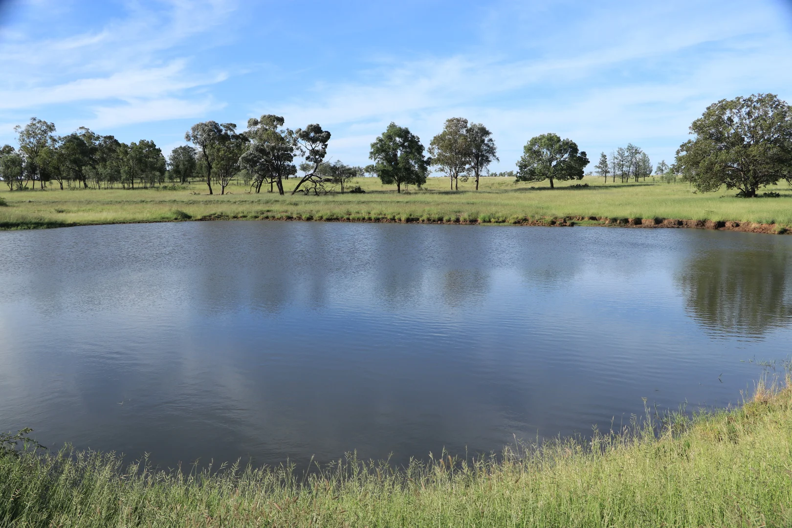 Additional image 8 of 564 ORALLO ROAD, Roma QLD 4455