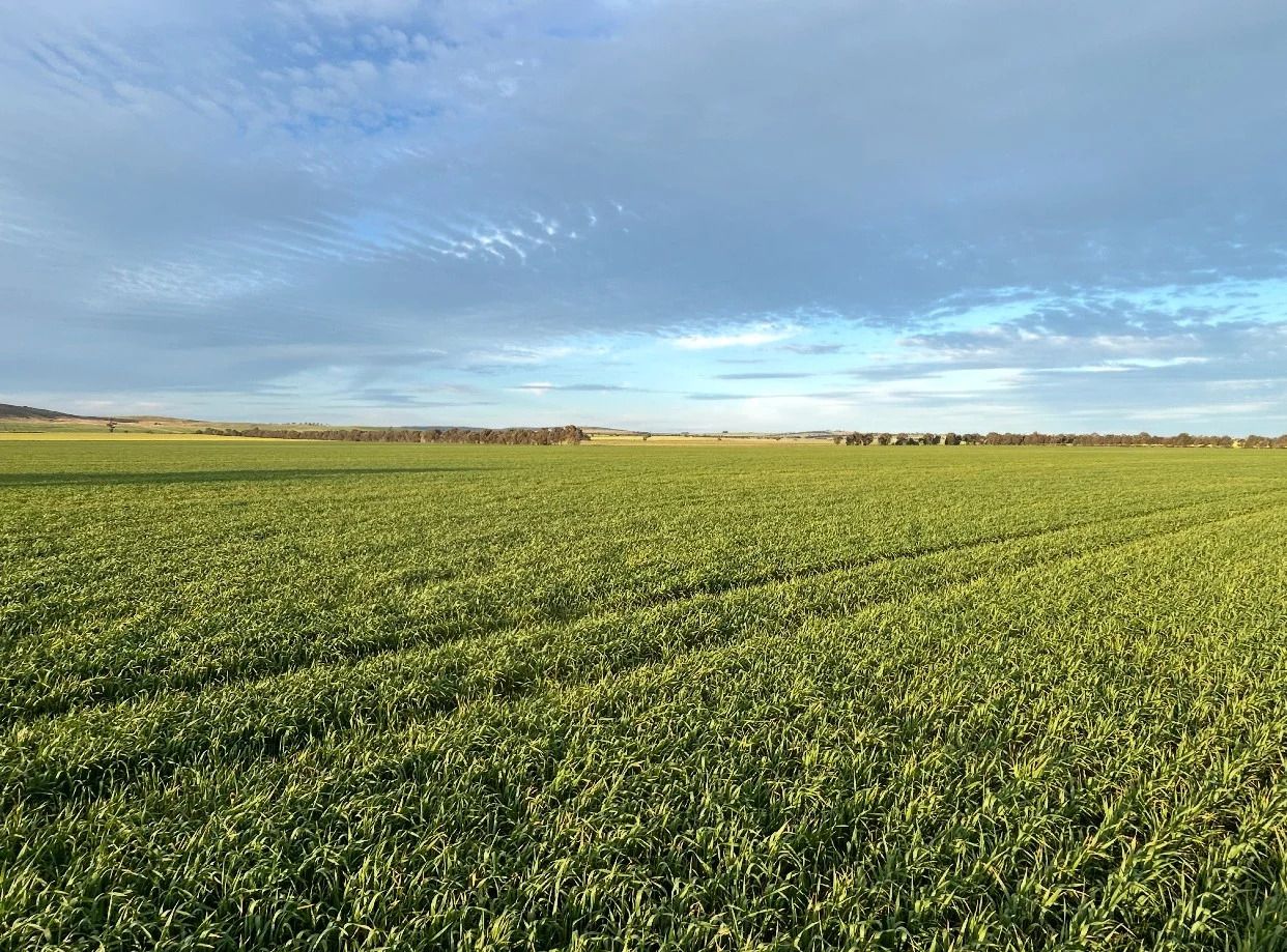 Additional image 14 of 702 Gerrybang Road, Grenfell NSW 2810