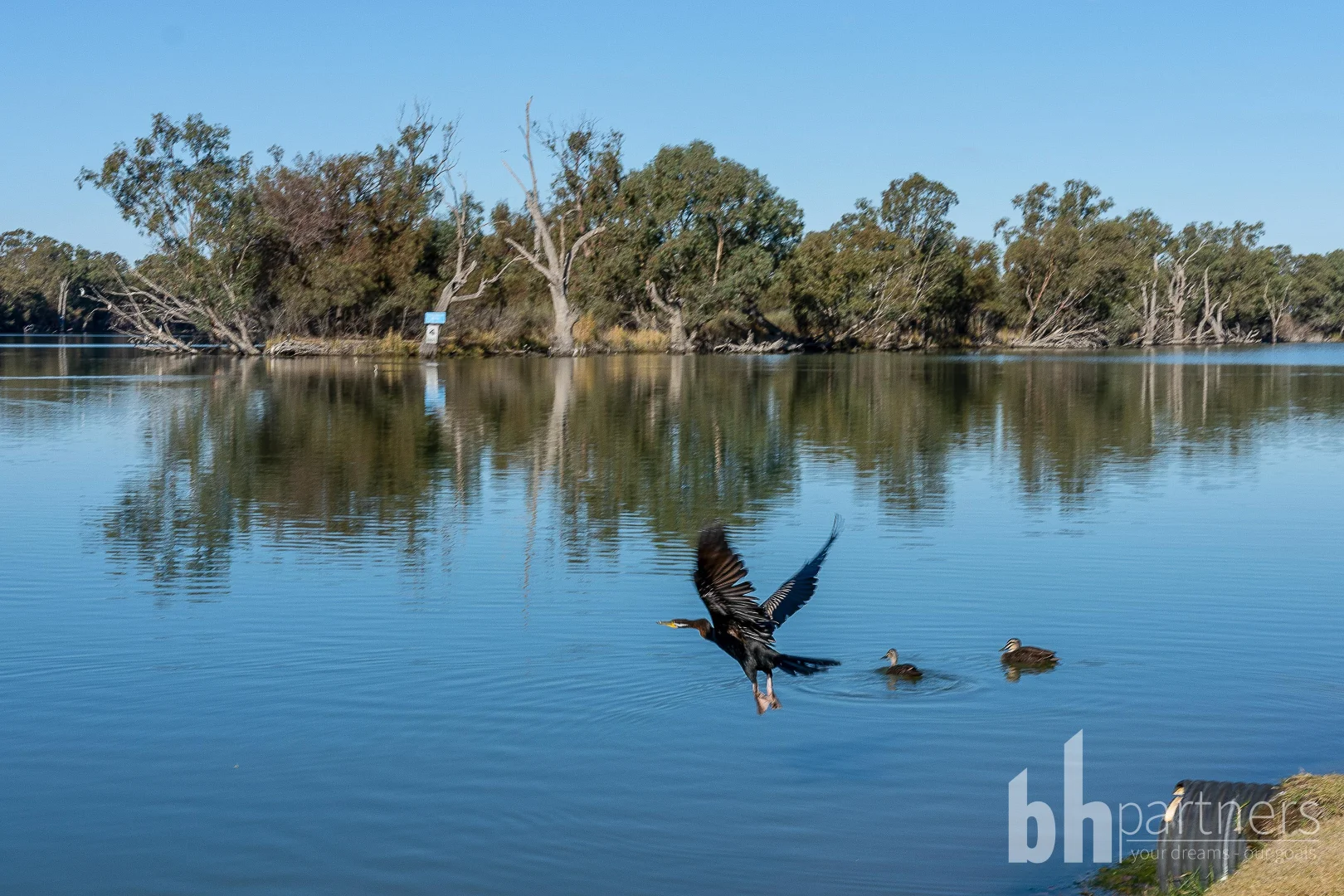 Additional image 7 of Lot 900 Moorook South Estate Final Stage, Moorook South SA 5332