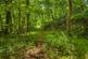 Additional image 23 of Littleham, Bideford, Devon EX39