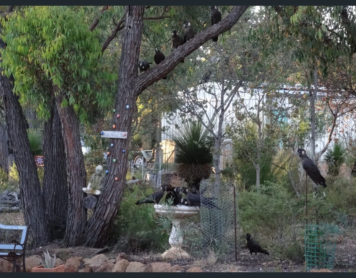 Additional image 22 of Toodyay WA 6566
