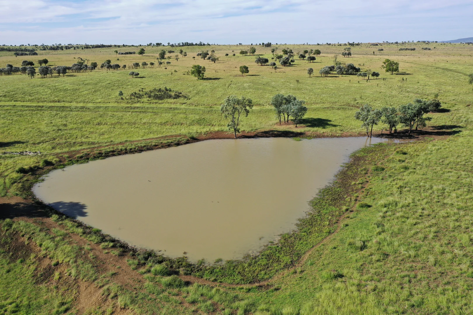 Additional image 20 of 564 ORALLO ROAD, Roma QLD 4455