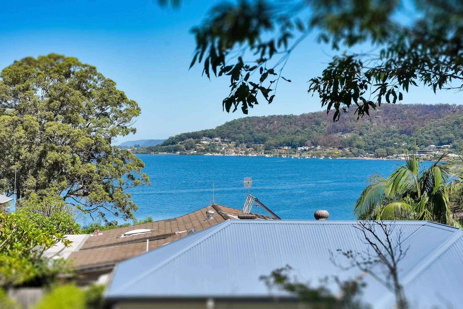 Additional image 3 of 7A Gosford Street, Point Clare NSW 2250