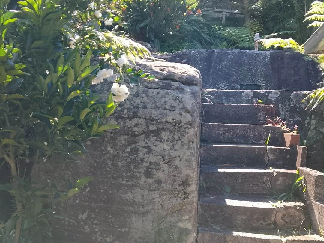 Additional image 22 of Queenscliff NSW 2096