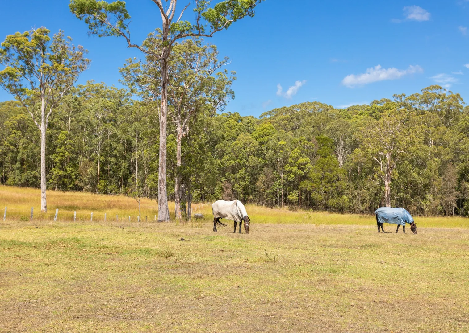 Additional image 18 of 16 Ruprechts Road, Mitchells Island NSW 2430
