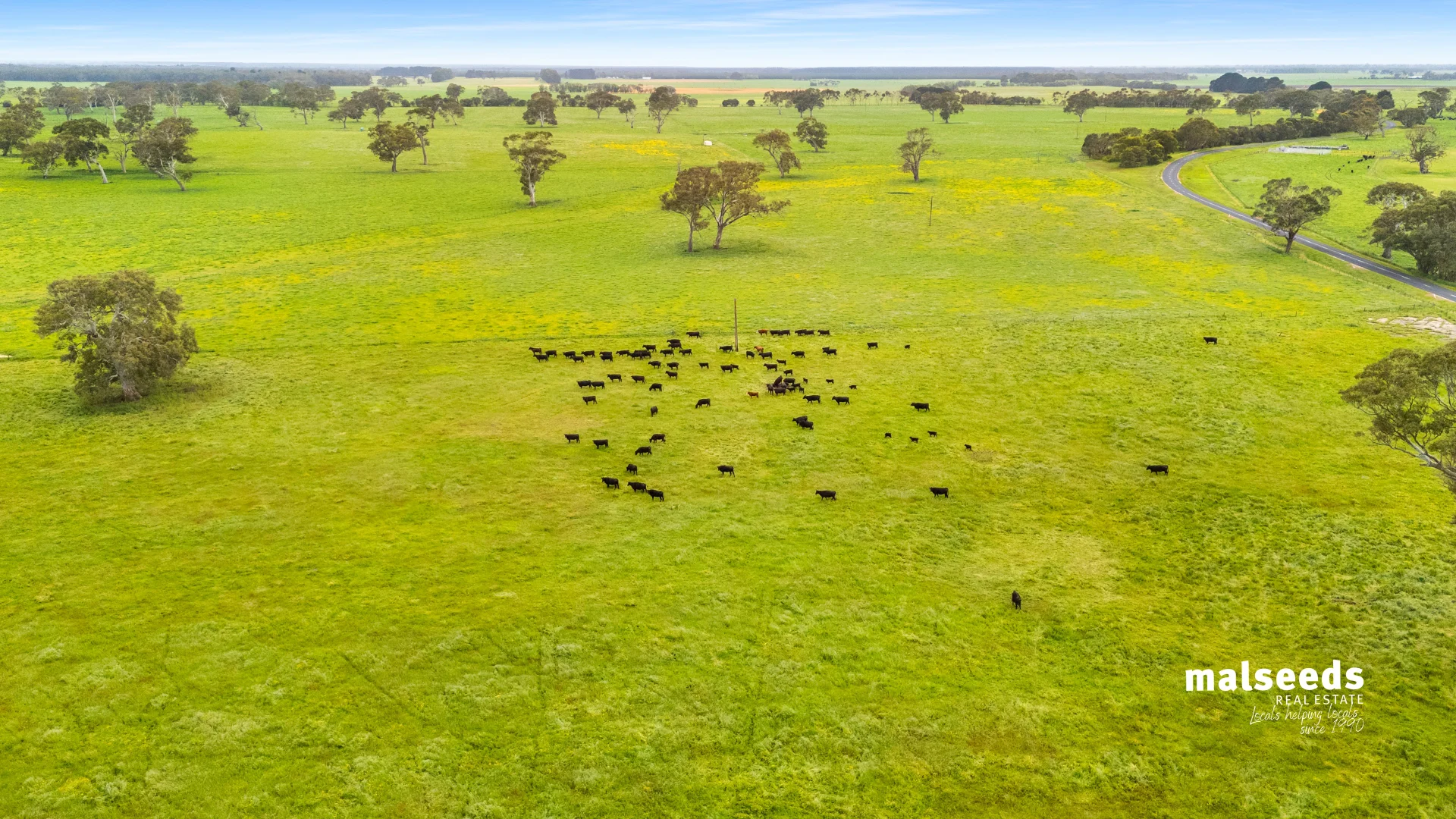 Additional image 30 of 1365B Mingbool Road, Mingbool SA 5291
