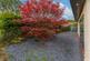 Additional image 37 of Silver Howe Close, Kendal, LA9