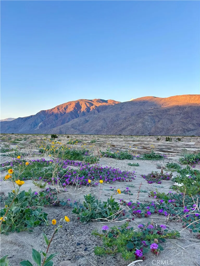 Additional image 85 of 3195 Club Circle W, Borrego Springs, CA 92004