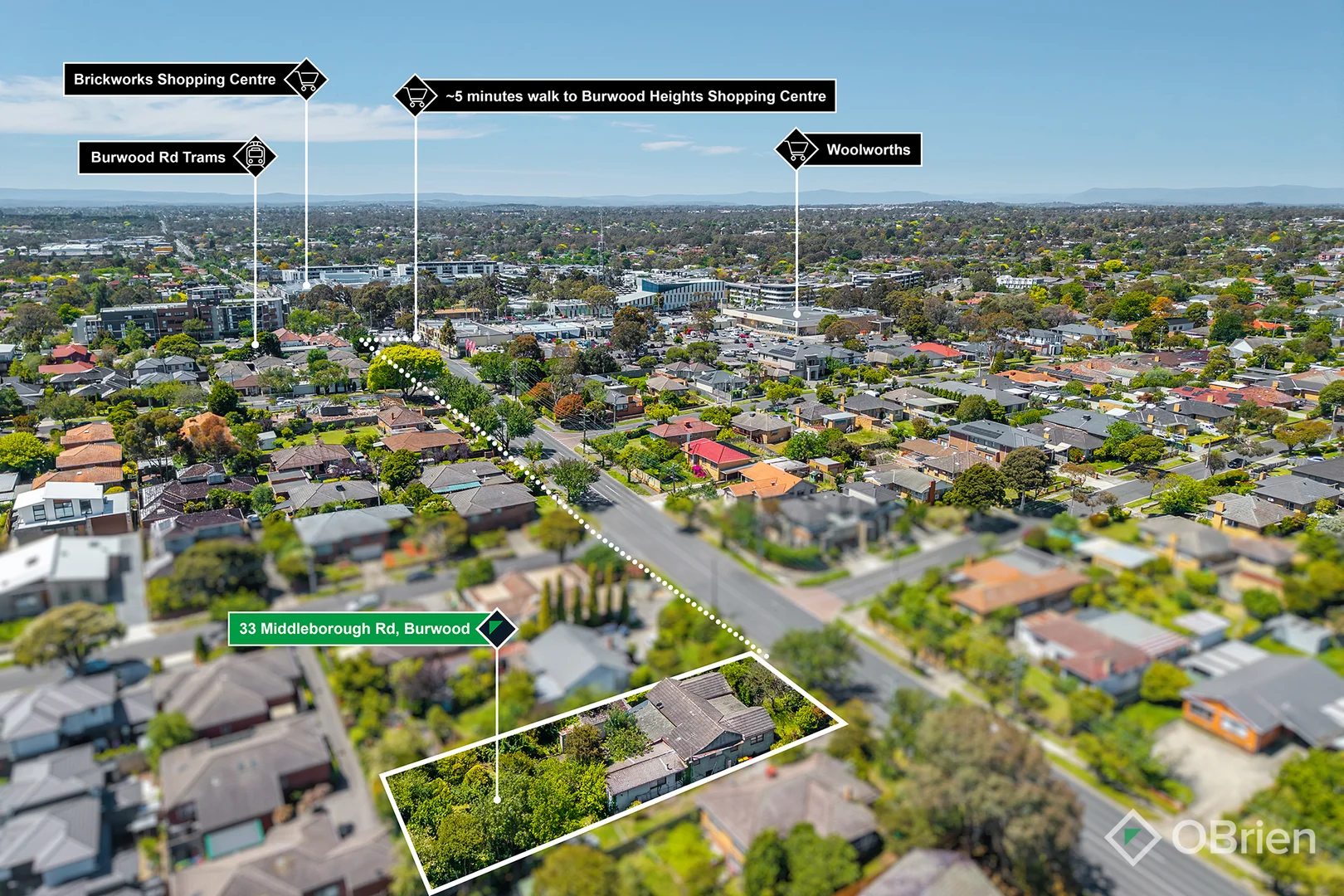 Additional image 4 of 33 Middleborough Road, Burwood VIC 3125