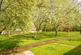 Additional image 17 of Lichfield Grove, Harrogate, HG3