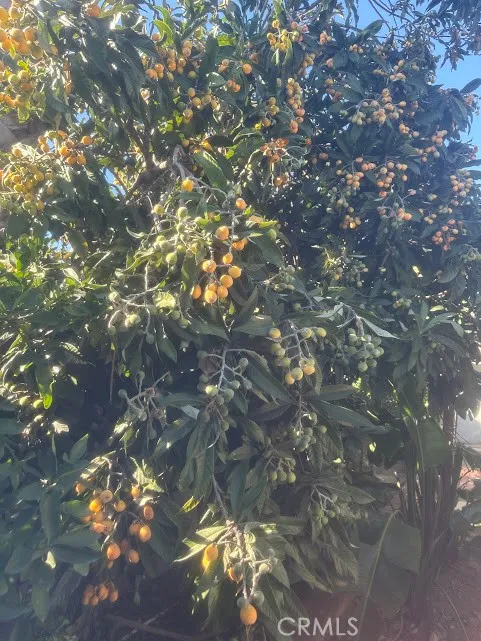 Additional image 56 of 928 W Buffington St, Upland, CA 91784