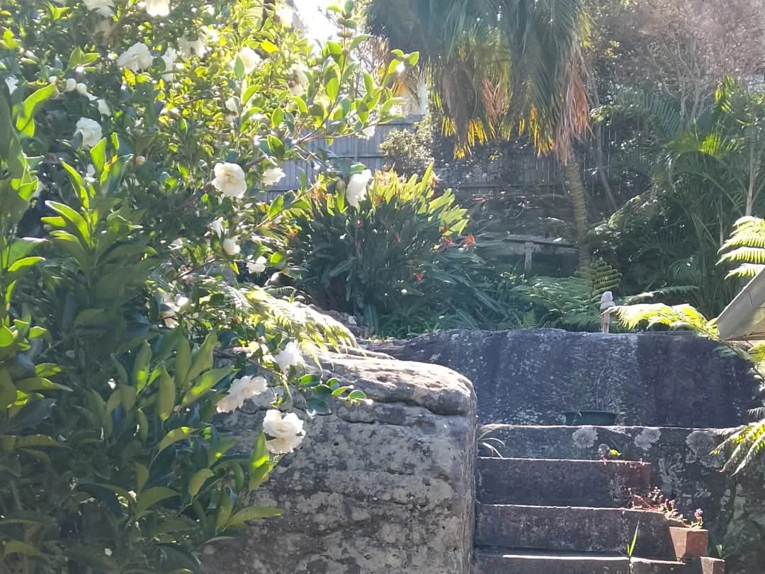 Additional image 4 of Queenscliff NSW 2096