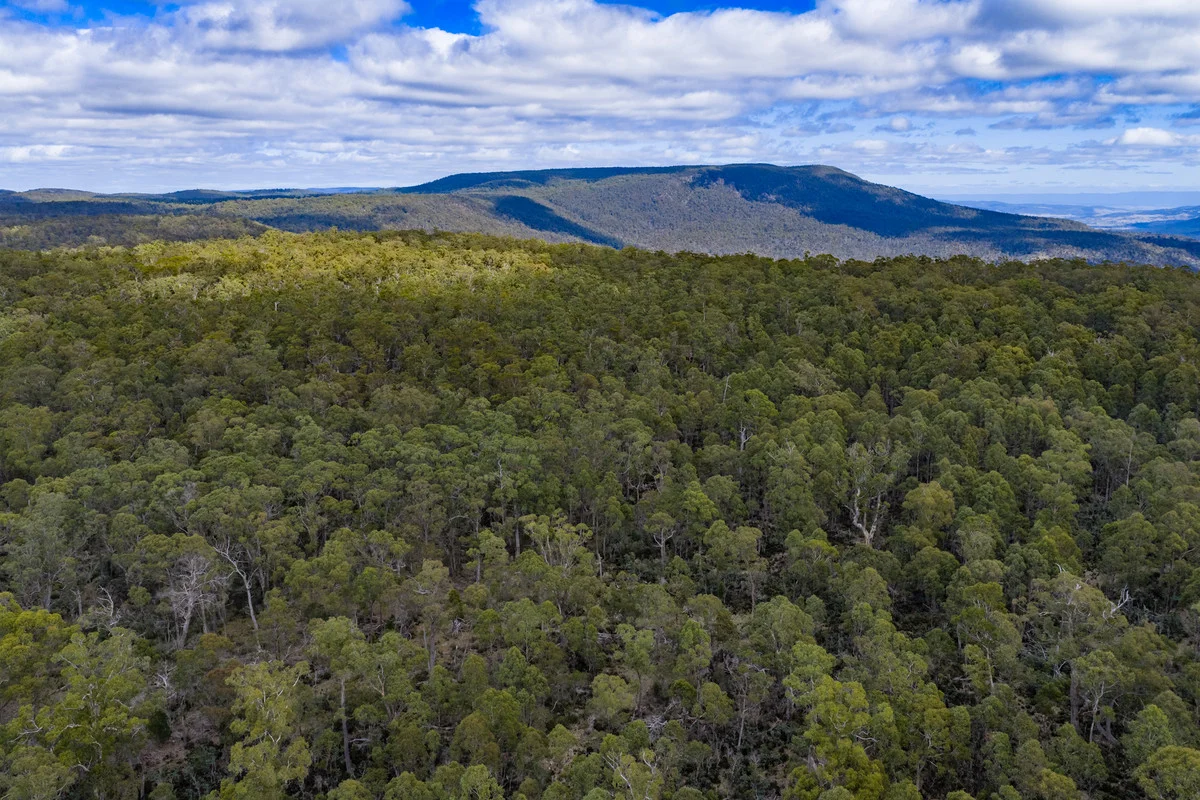 Additional image 9 of Mt Foster Road, Fingal TAS 7214