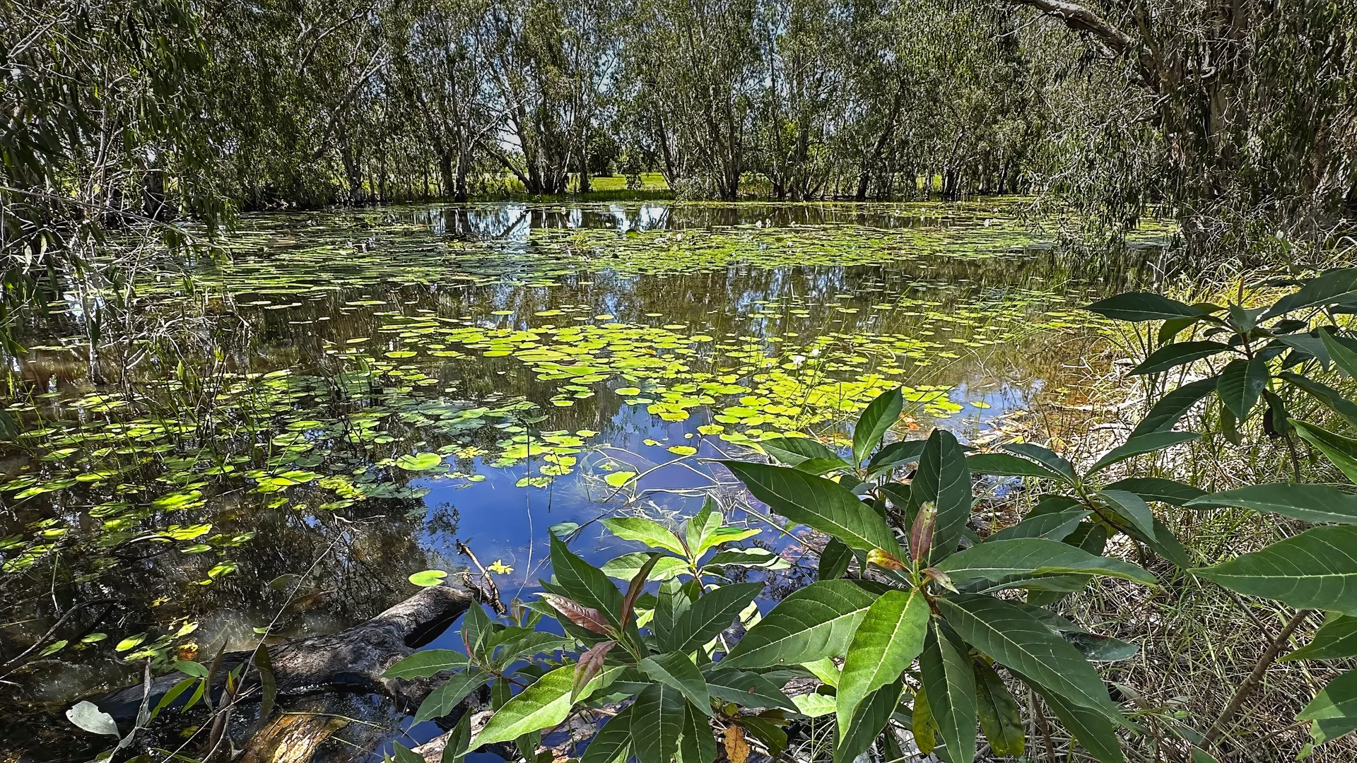 Additional image 18 of 8 Patterson Street, Midge Point QLD 4799