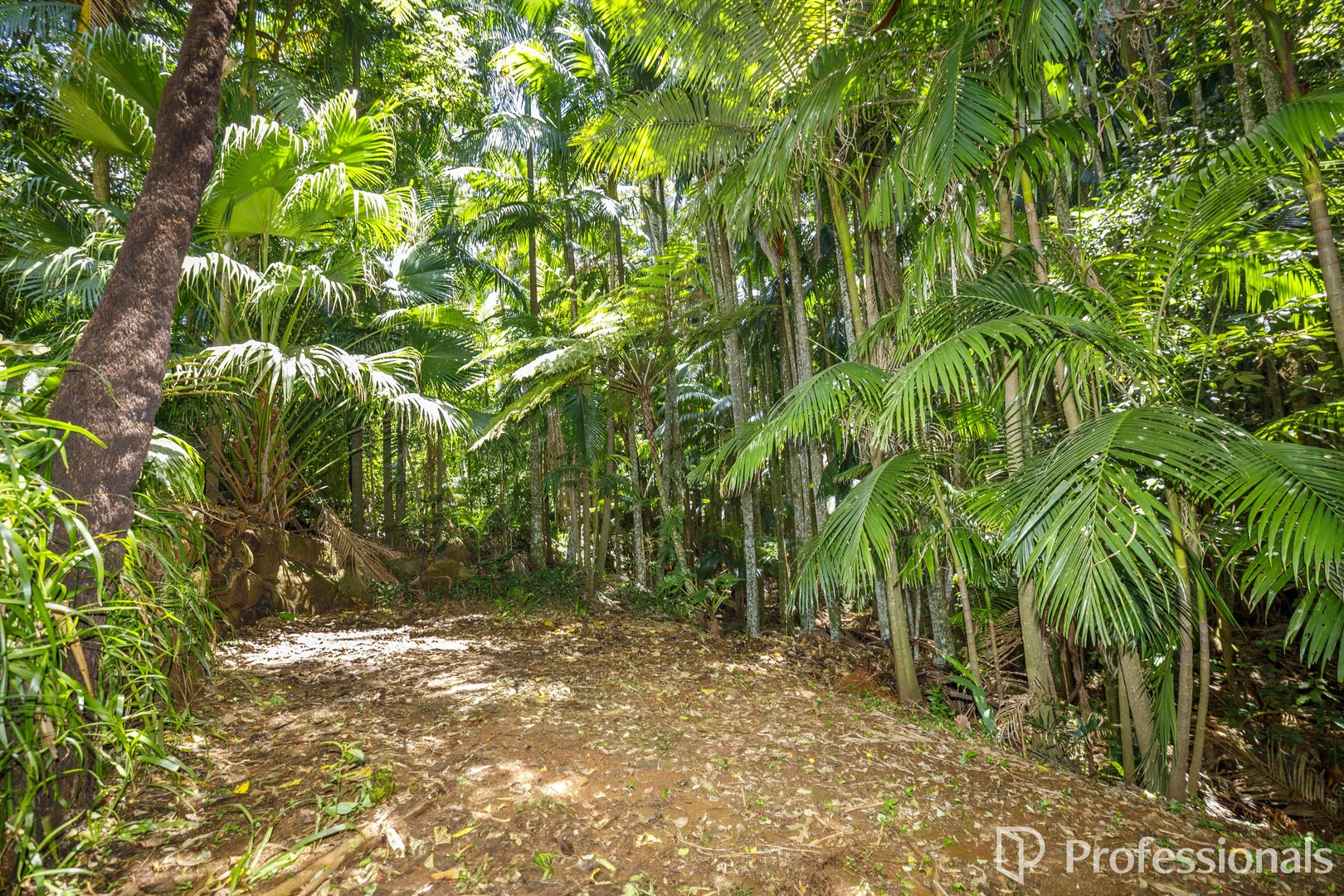 Additional image 41 of 30 Long Road, Tamborine Mountain QLD 4272