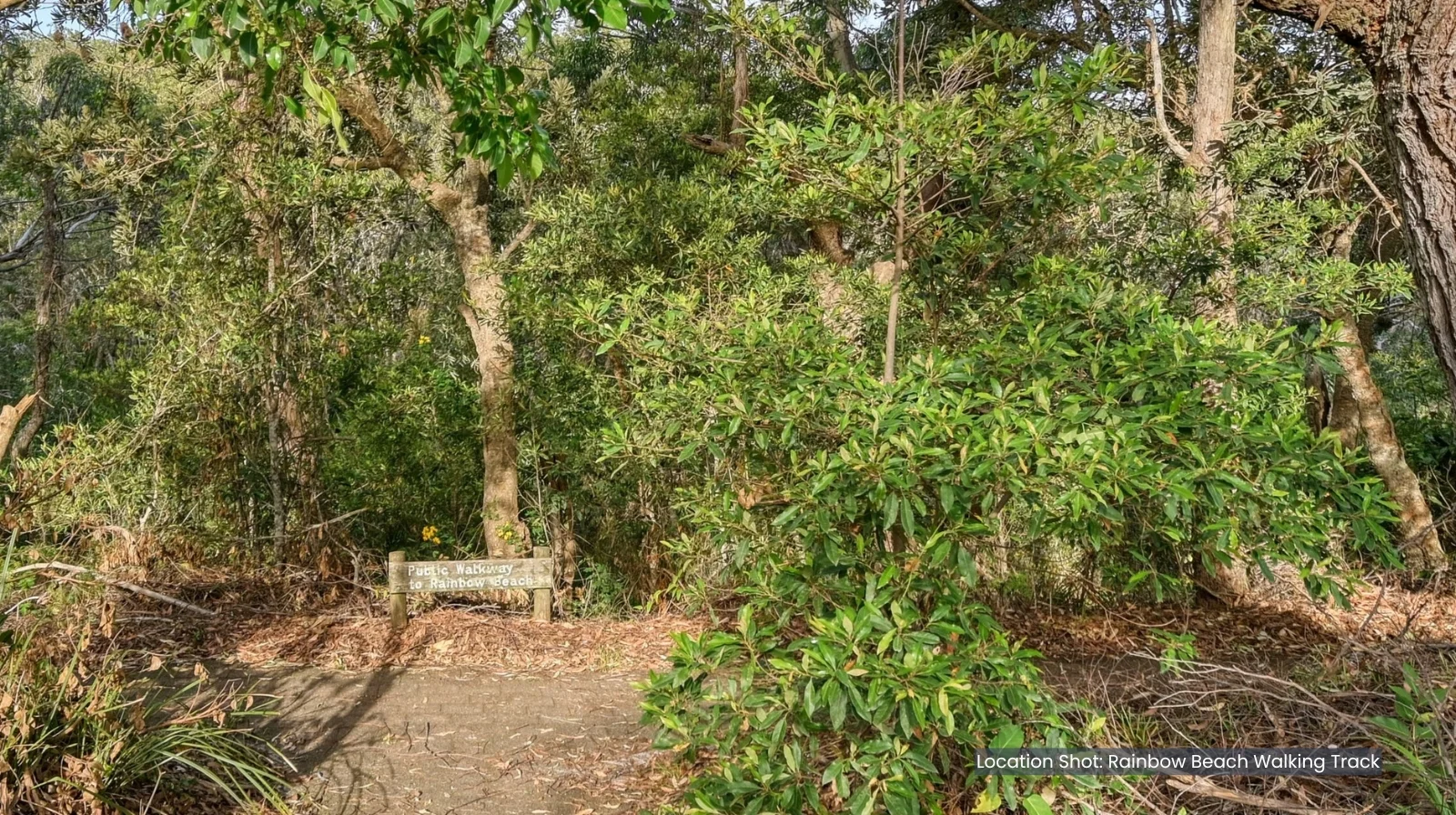 Additional image 24 of 3 Driftwood Court, Bonny Hills NSW 2445