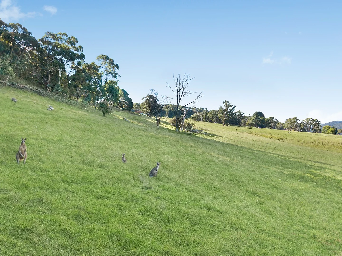 111 Magpie Hollow Road, Lithgow NSW 2790