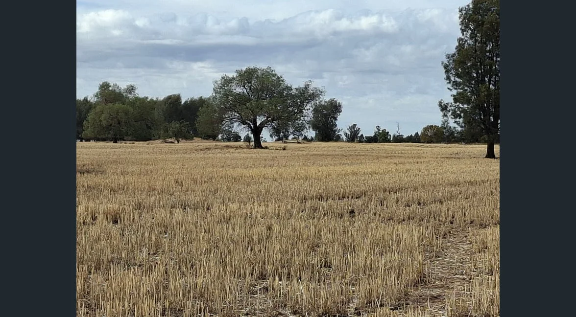 Additional image 19 of Alloway/1662 Oxley Highway, Gilgandra NSW 2827