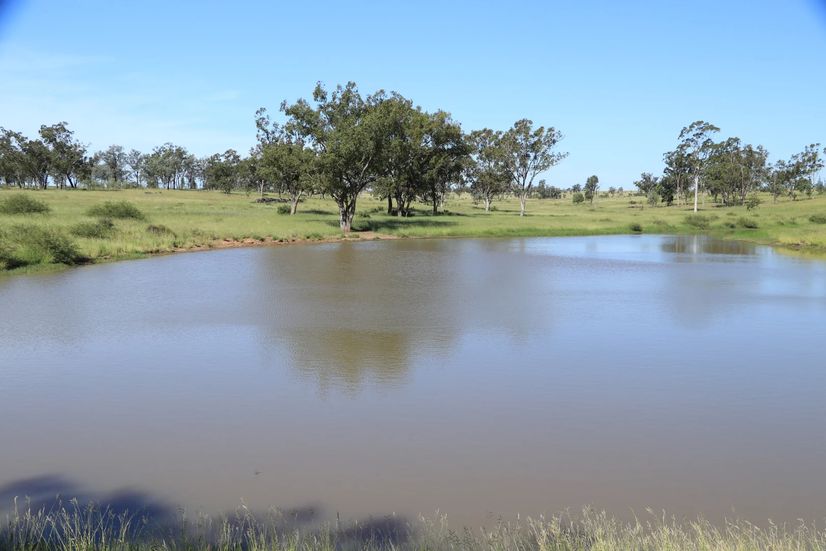 Additional image 27 of 564 ORALLO ROAD, Roma QLD 4455