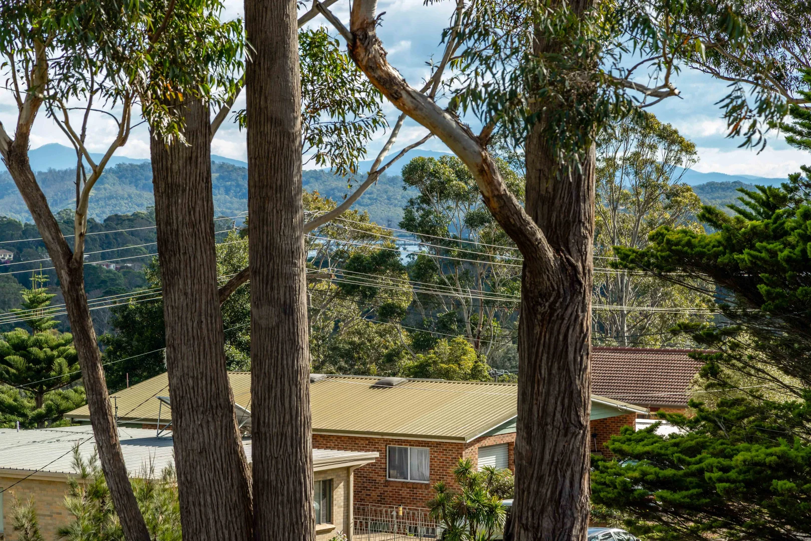 Additional image 12 of 21 Riverview Crescent, Catalina NSW 2536