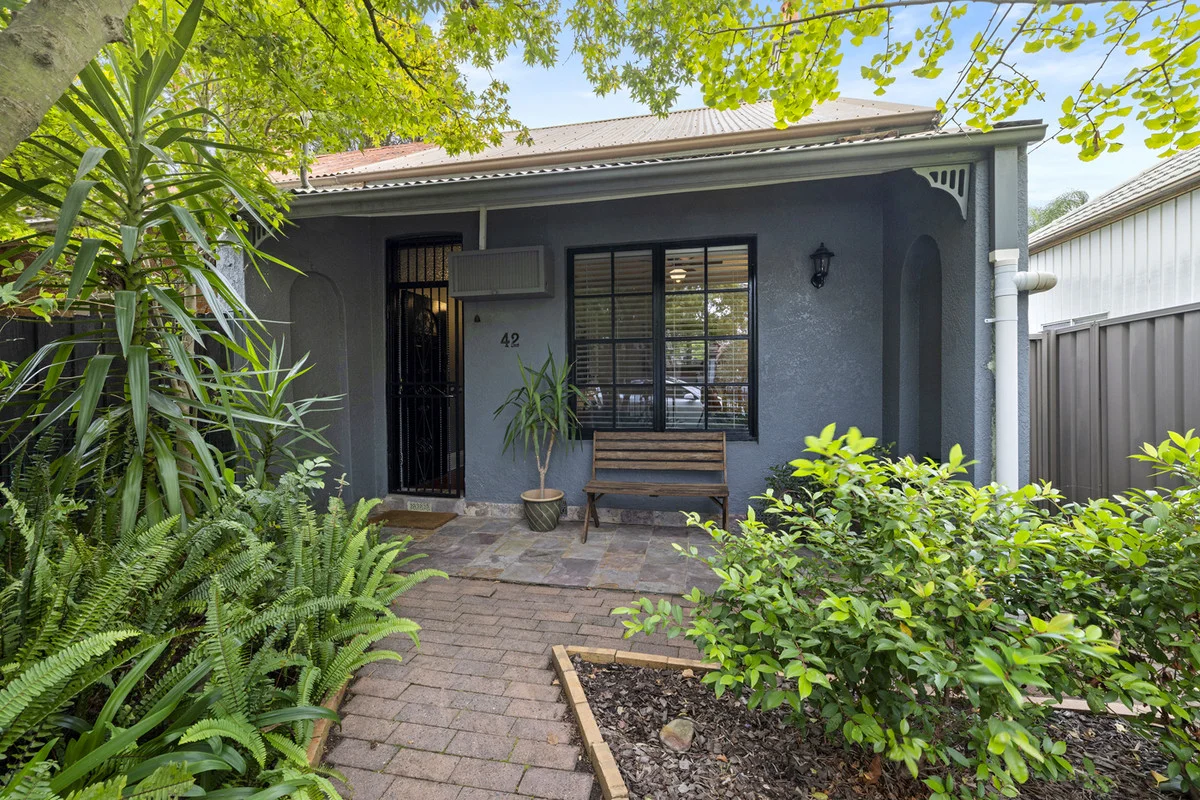 42 Holborow Street, Croydon NSW 2132