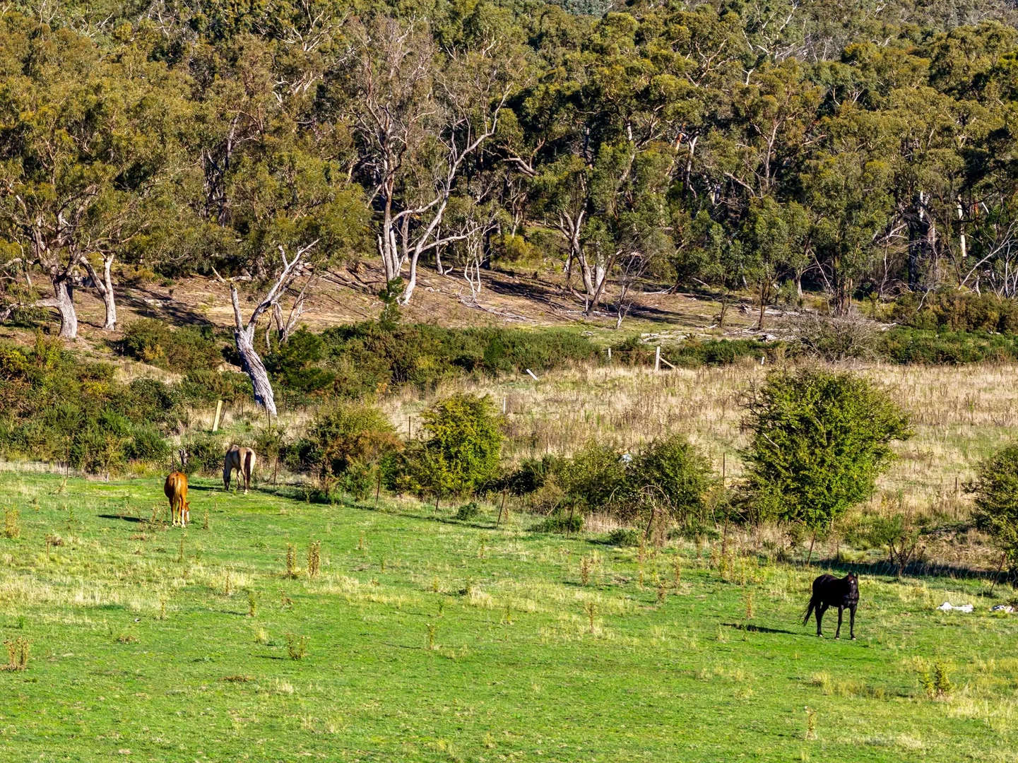 Additional image 31 of 526 Mount Baw Baw Road, Goulburn NSW 2580