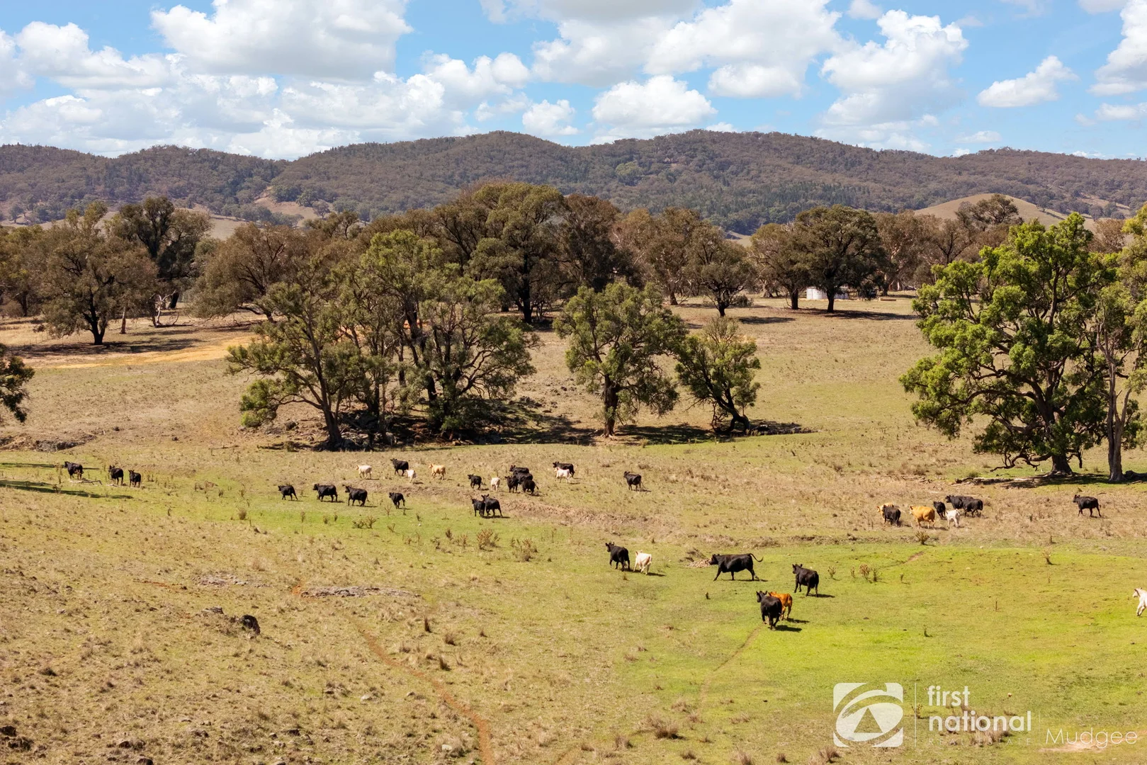 Additional image 8 of 365 Erudgere Lane, Mudgee NSW 2850