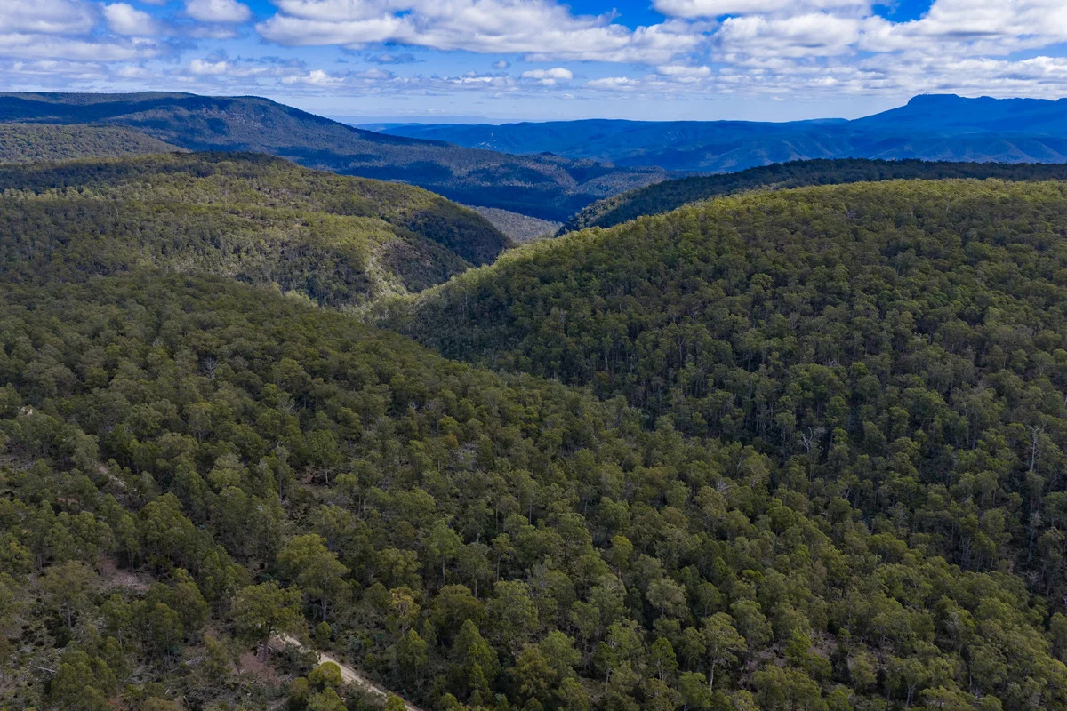 Additional image 13 of Mt Foster Road, Fingal TAS 7214