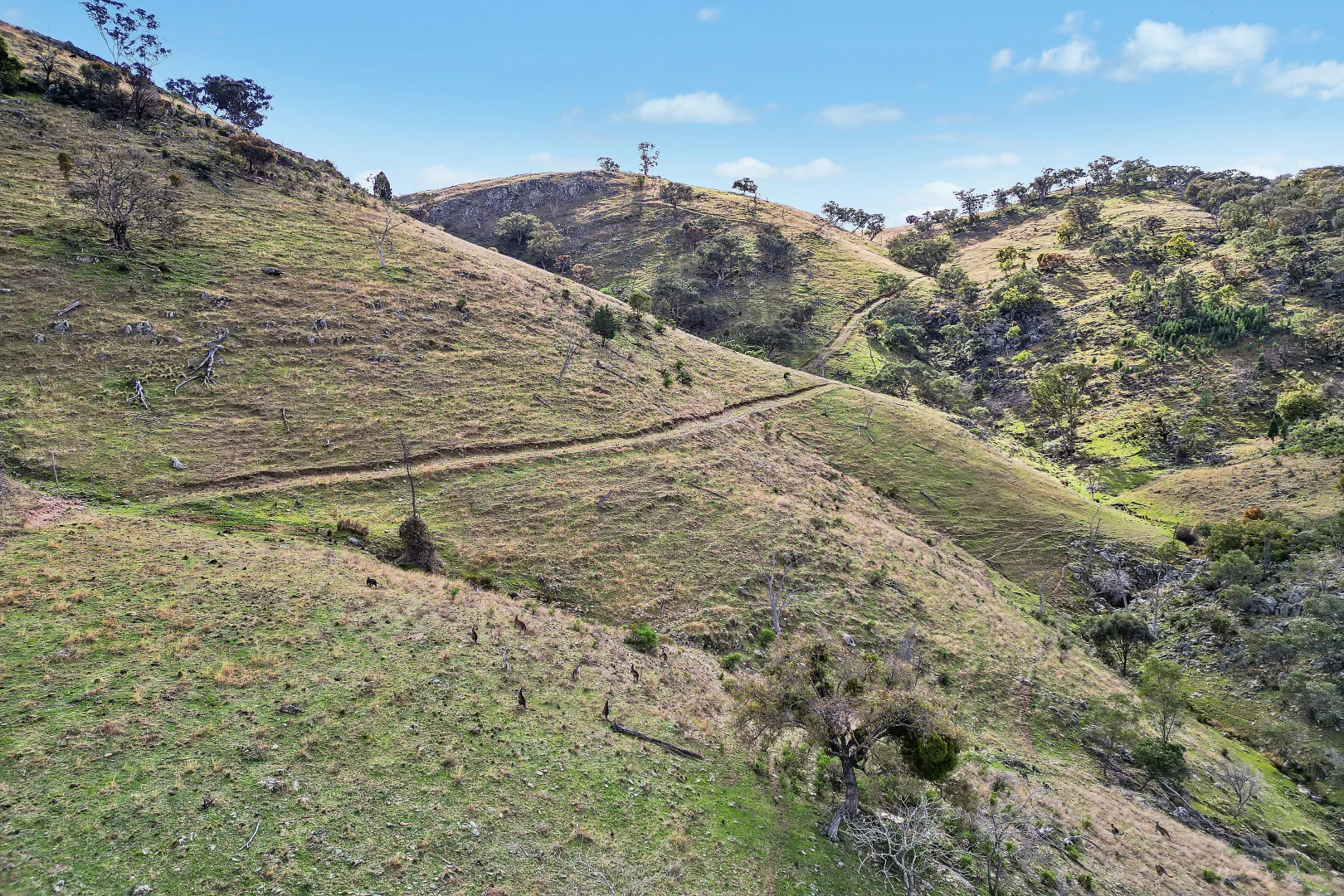 Additional image 4 of 2/1193 Yarrabin Road, Mudgee NSW 2850