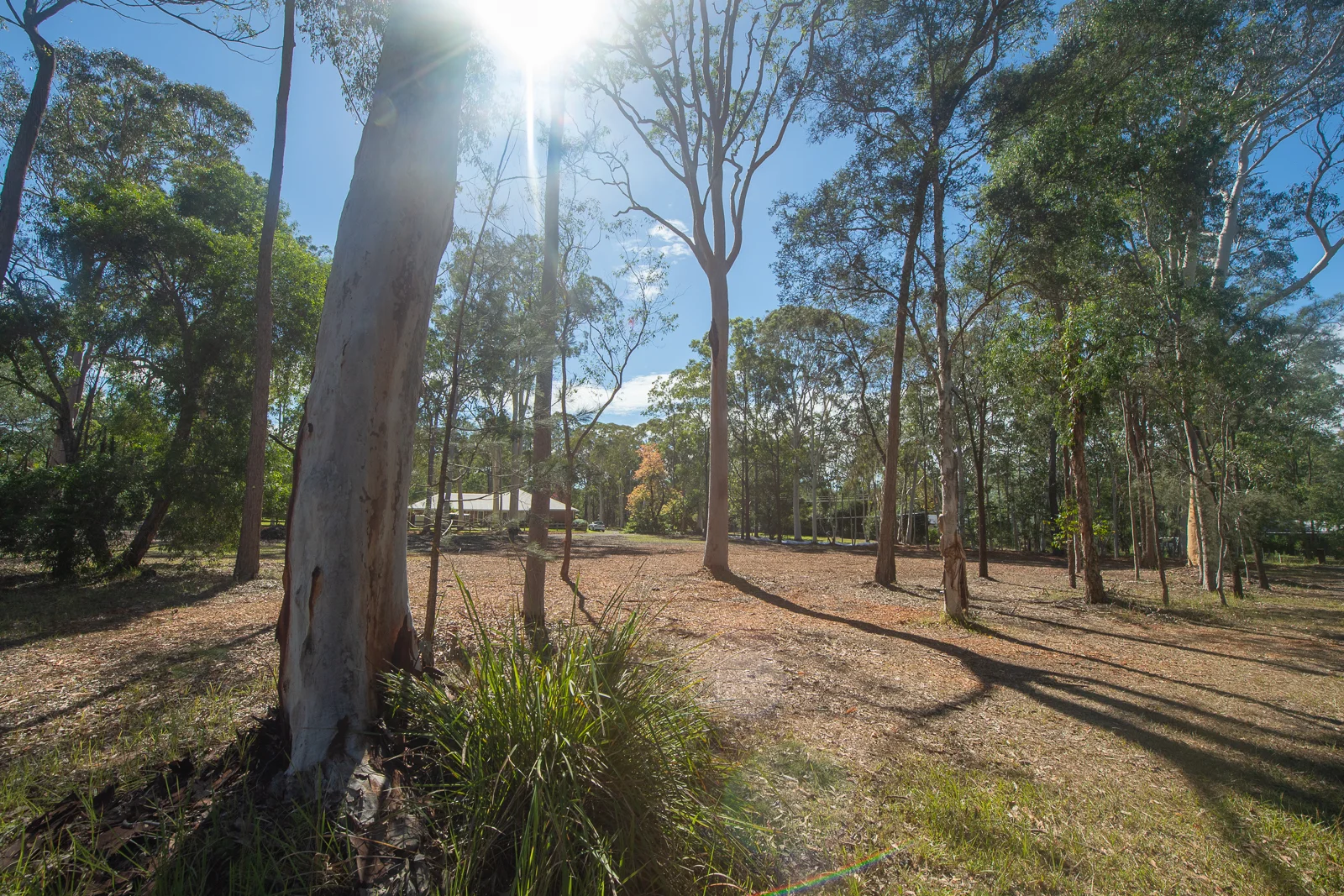 Additional image 4 of Lot 101, 49 Kula Rd, Medowie NSW 2318
