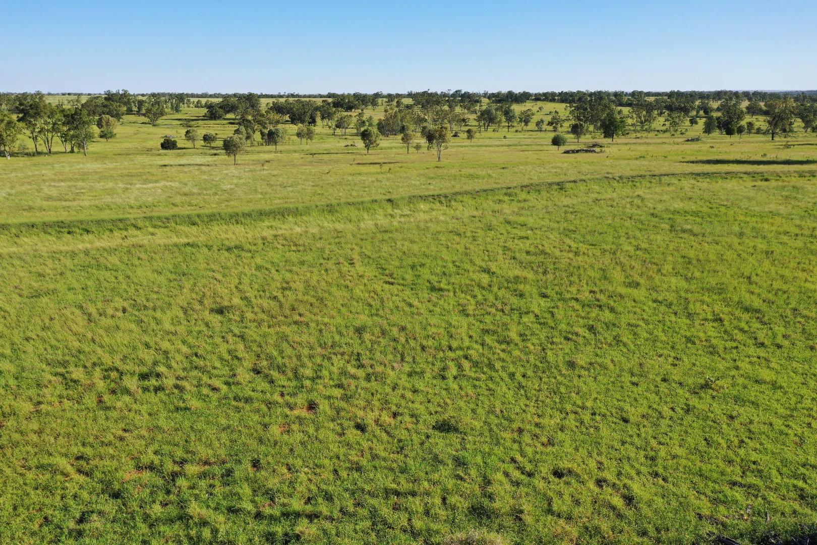 Additional image 11 of 564 ORALLO ROAD, Roma QLD 4455