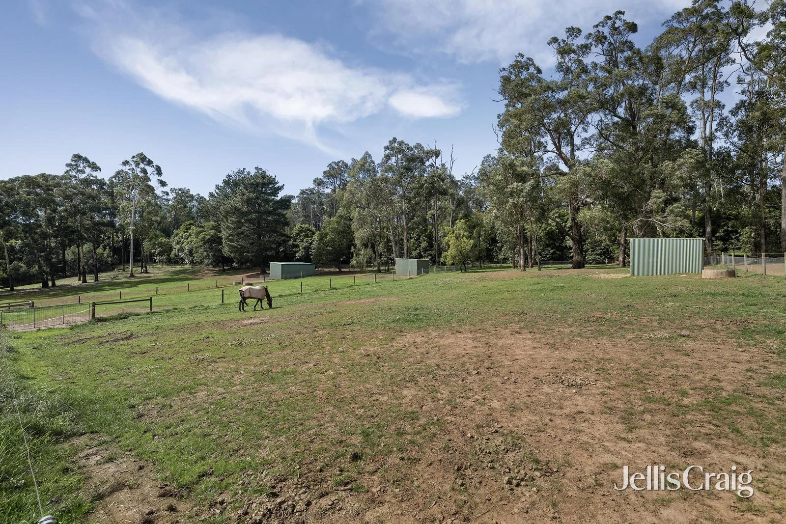 Additional image 17 of 45 Lewis Road, Wandin North VIC 3139