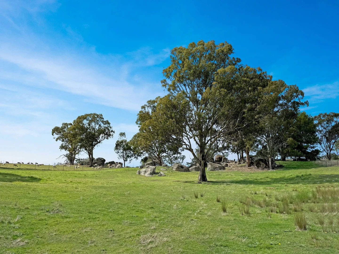 Additional image 32 of 4180 Olympic HWY, Young NSW 2594