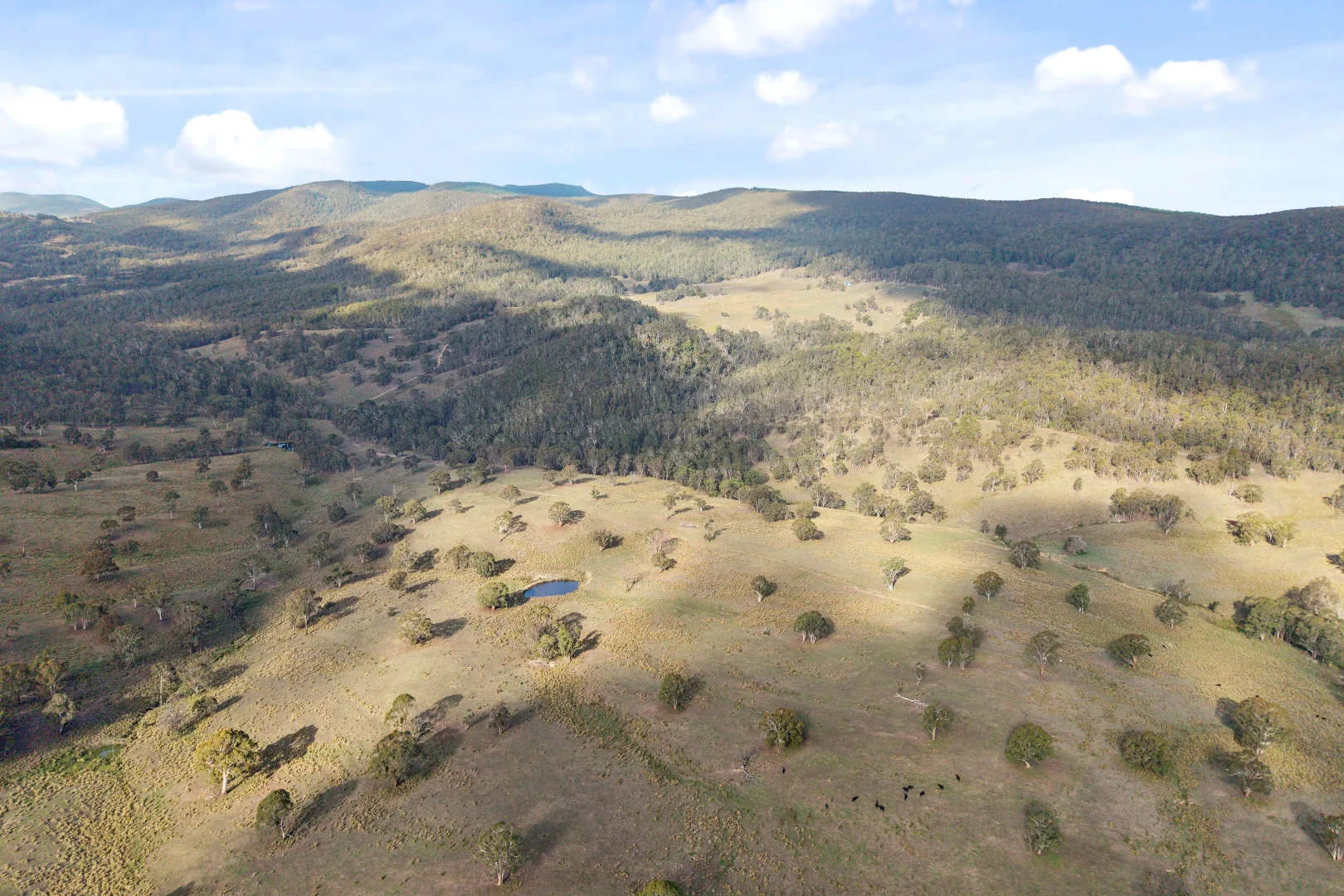 Additional image 34 of 507 Harolds Cross Road, Braidwood NSW 2622