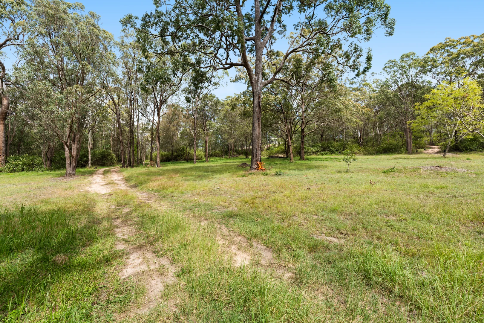 Additional image 15 of Lot 115 Dahl Road, Crows Nest QLD 4355