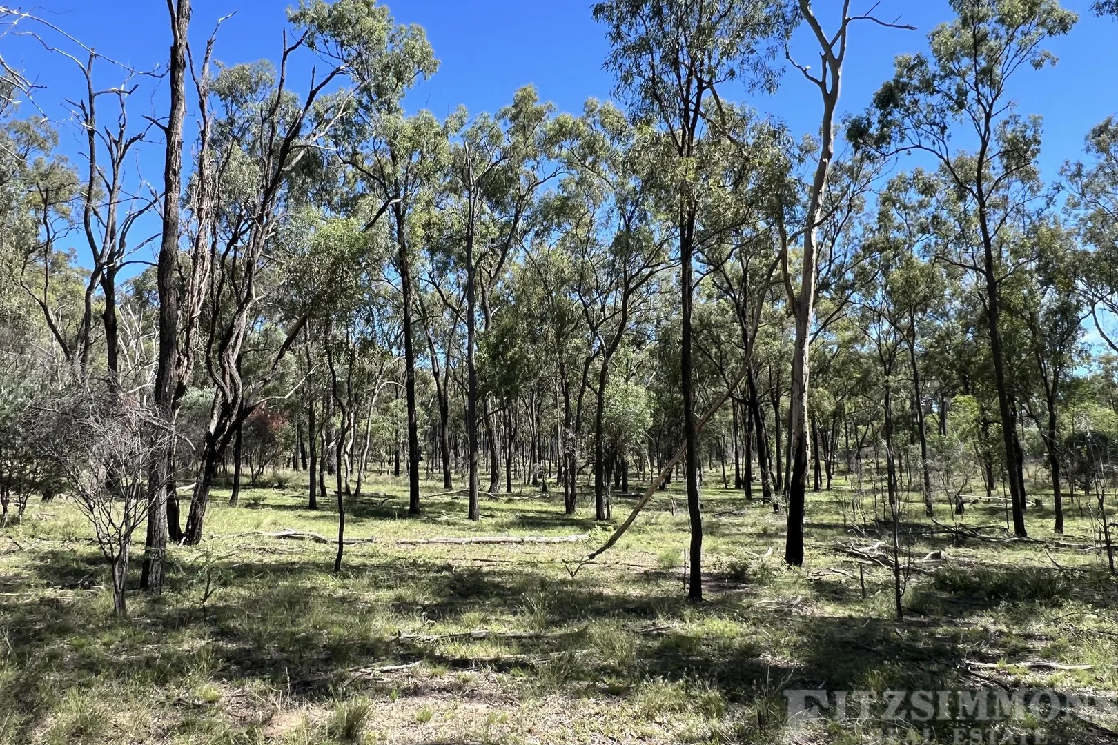 Additional image 25 of Braziers Road, Jandowae QLD 4410