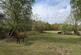 Additional image 3 of Gatewood Hill, Blackfield, SO45