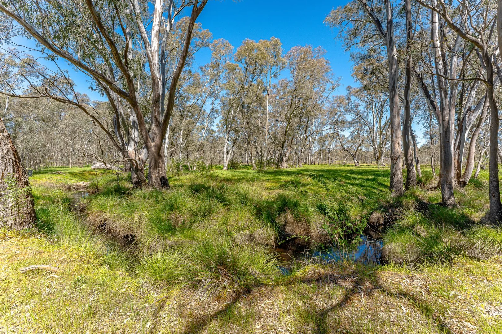 Additional image 26 of 1082 McIvor Highway, Junortoun VIC 3551