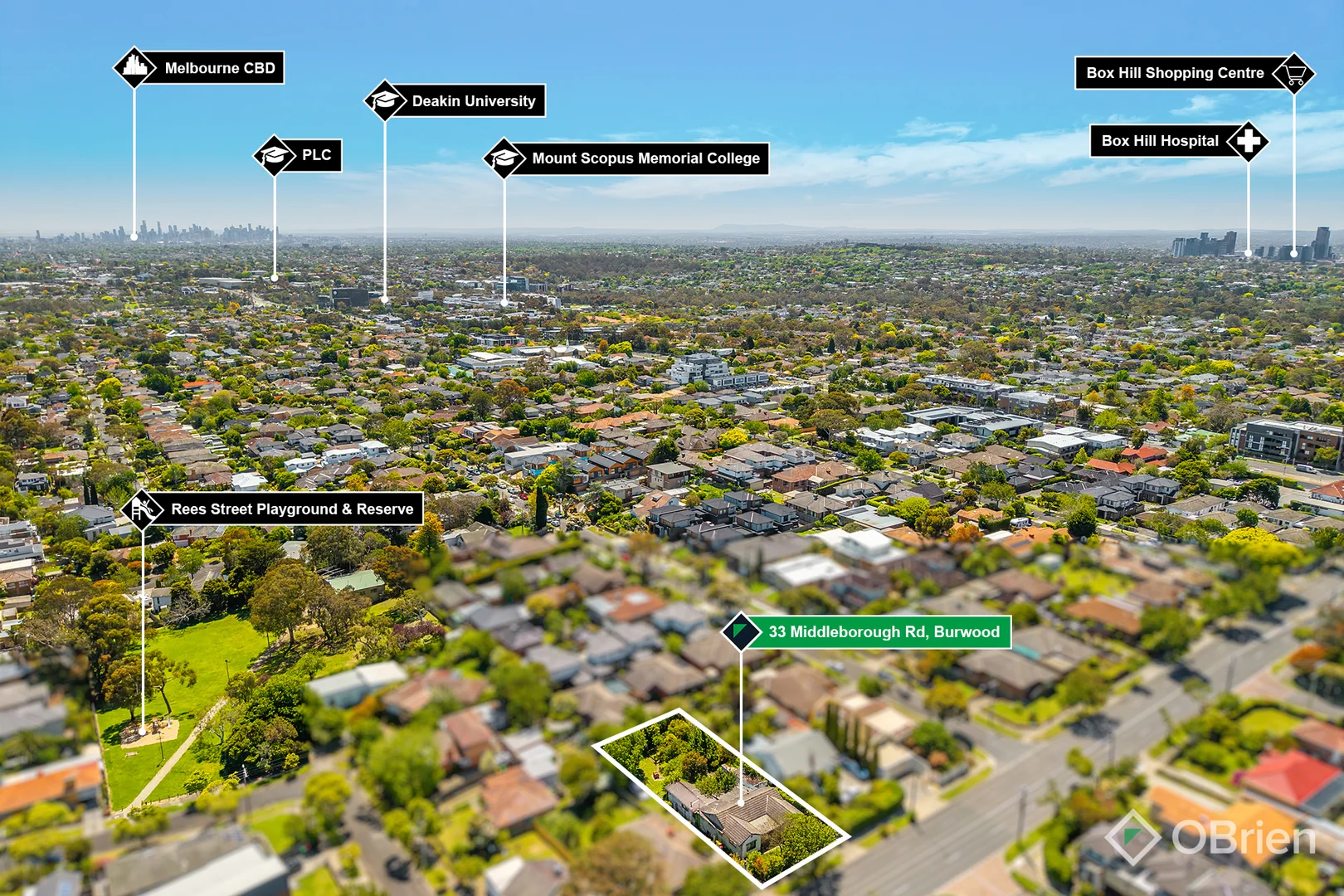 Additional image 5 of 33 Middleborough Road, Burwood VIC 3125