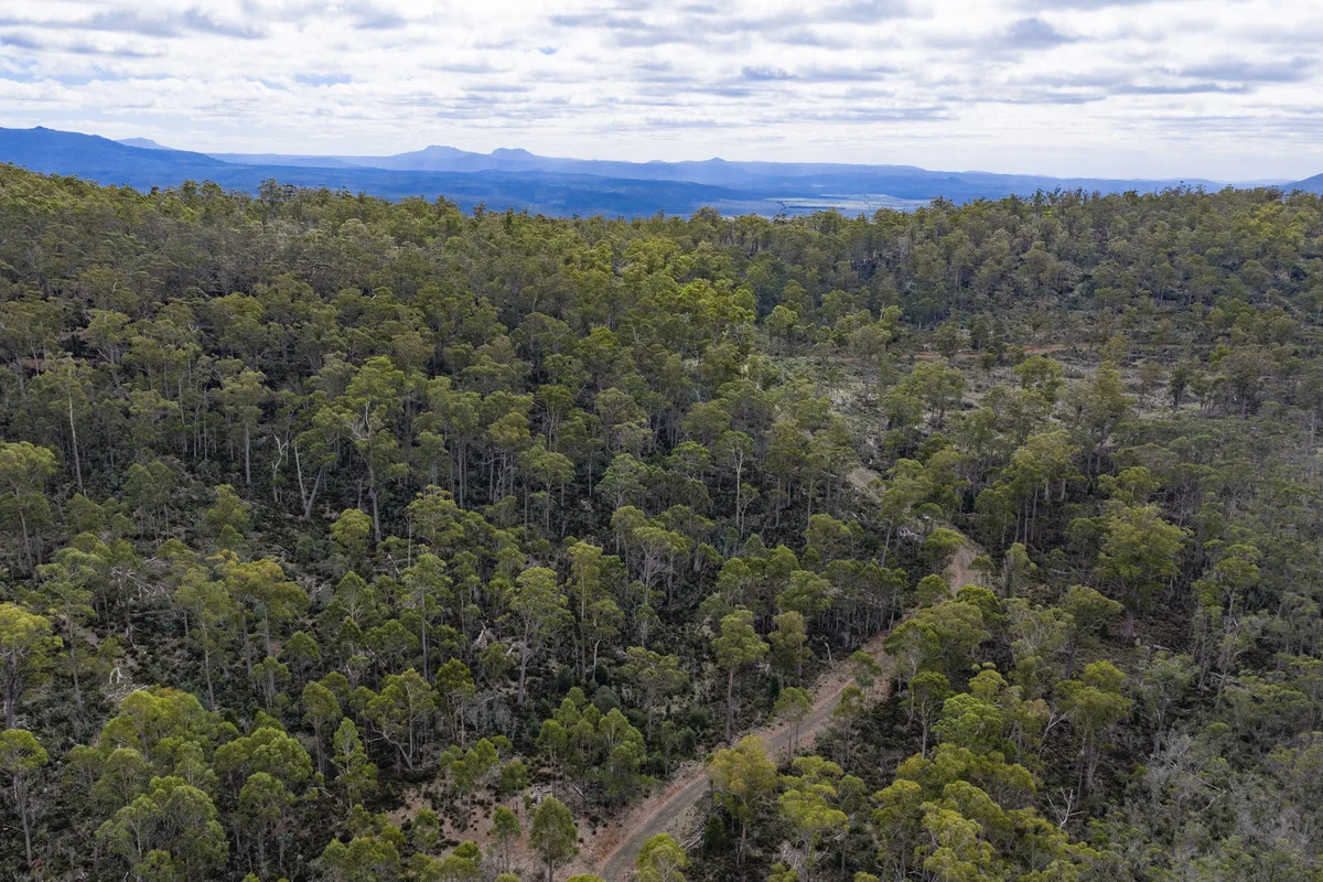 Mt Foster Road, Fingal TAS 7214