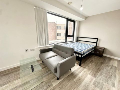 4 Leigh Street, Liverpool L1, Studio to rent
