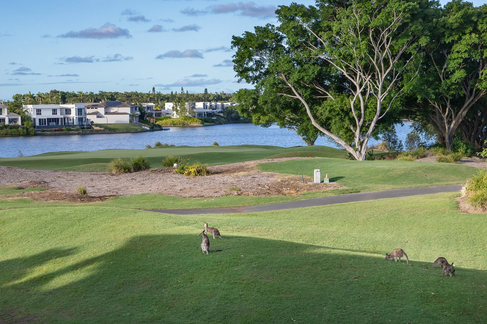 Additional image 11 of 8429 Magnolia Drive East, Hope Island QLD 4212