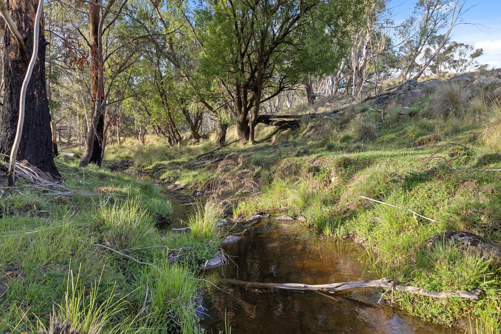 Additional image 3 of 507 Harolds Cross Road, Braidwood NSW 2622