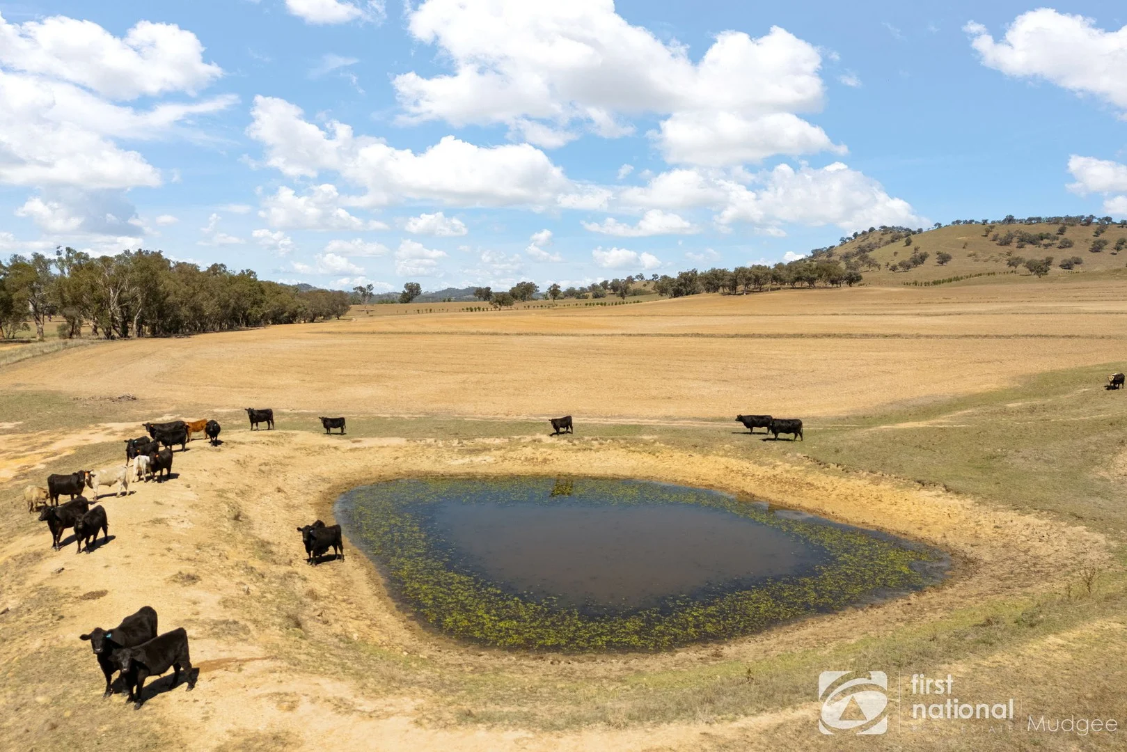 365 Erudgere Lane, Mudgee NSW 2850