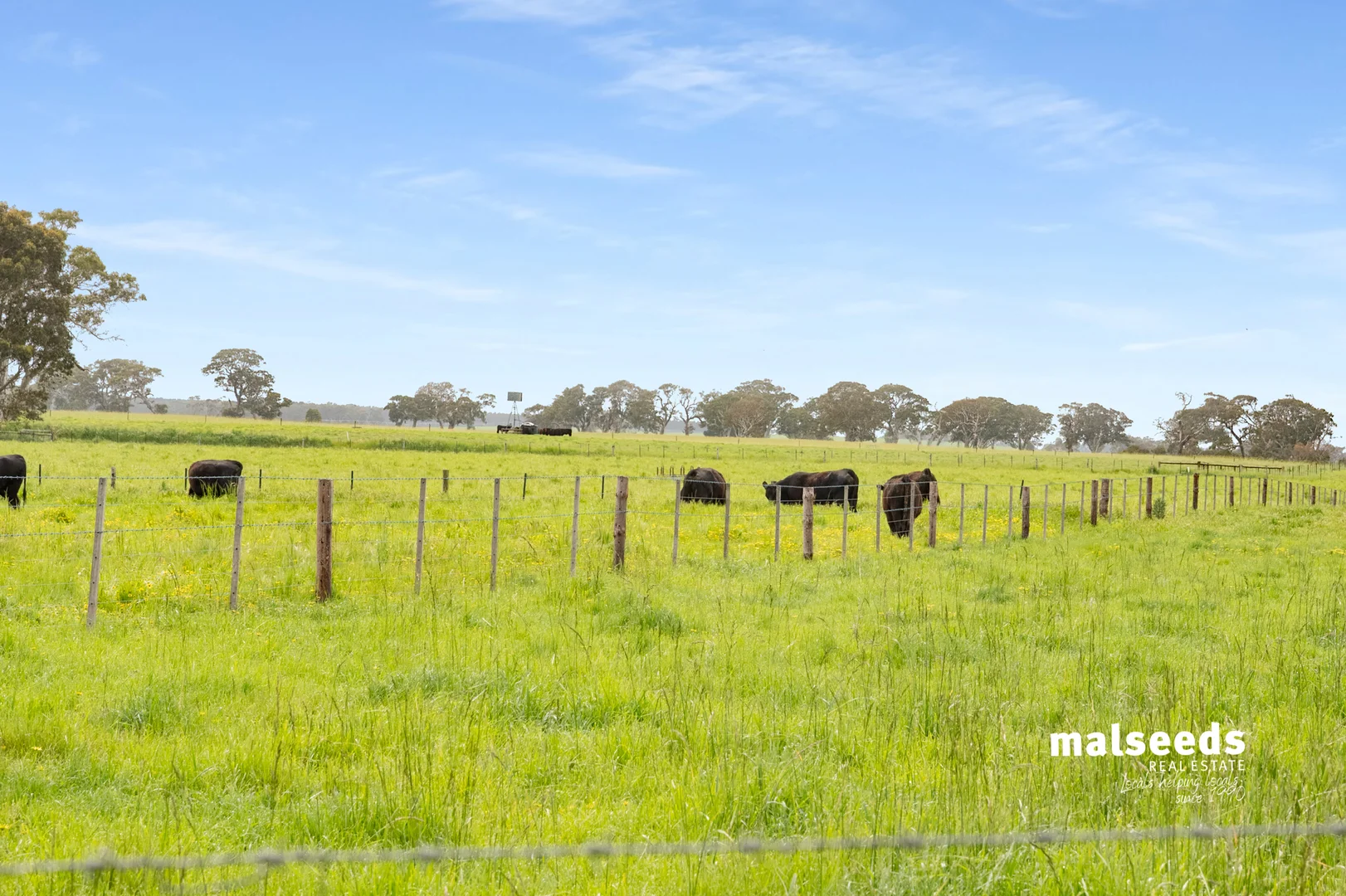 Additional image 35 of 1365B Mingbool Road, Mingbool SA 5291
