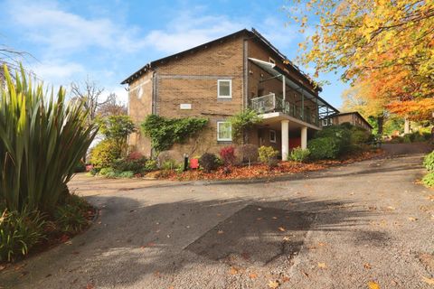 Melbourne Avenue, Sheffield S10