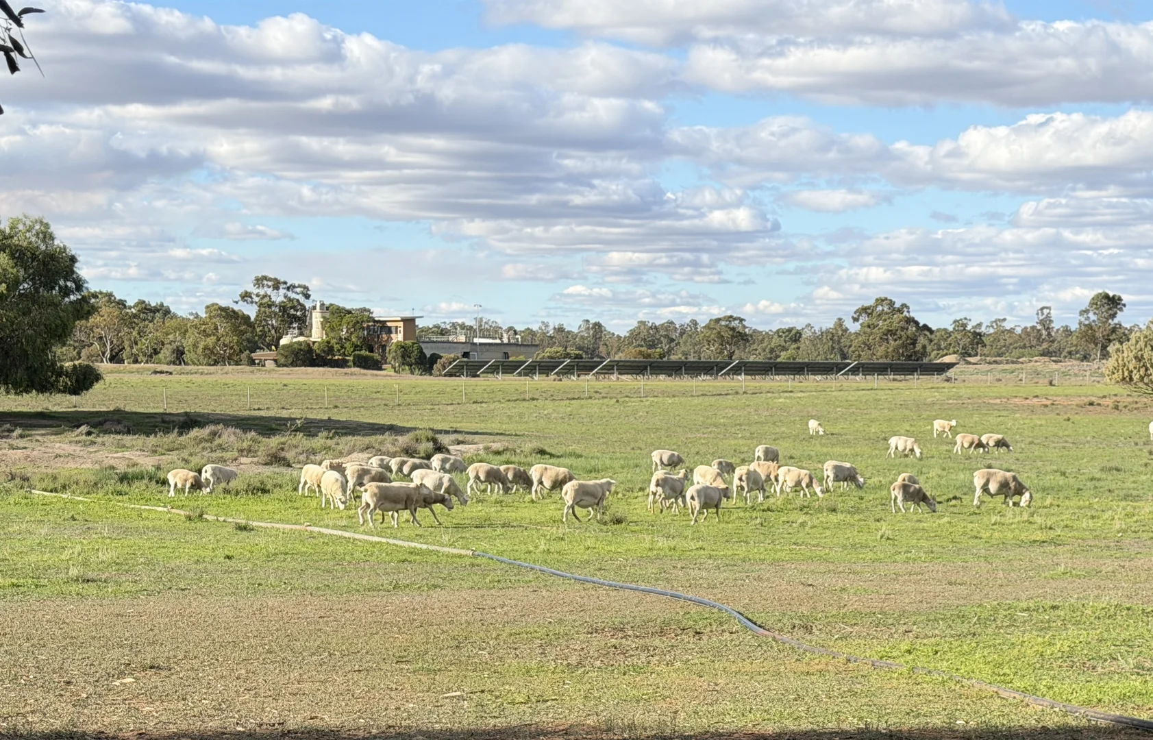 Additional image 3 of 'Selbit', 83 Four Post Road, Deniliquin NSW 2710