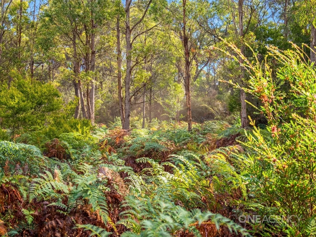 Additional image 26 of 175 Stennings Road, Wynyard TAS 7325