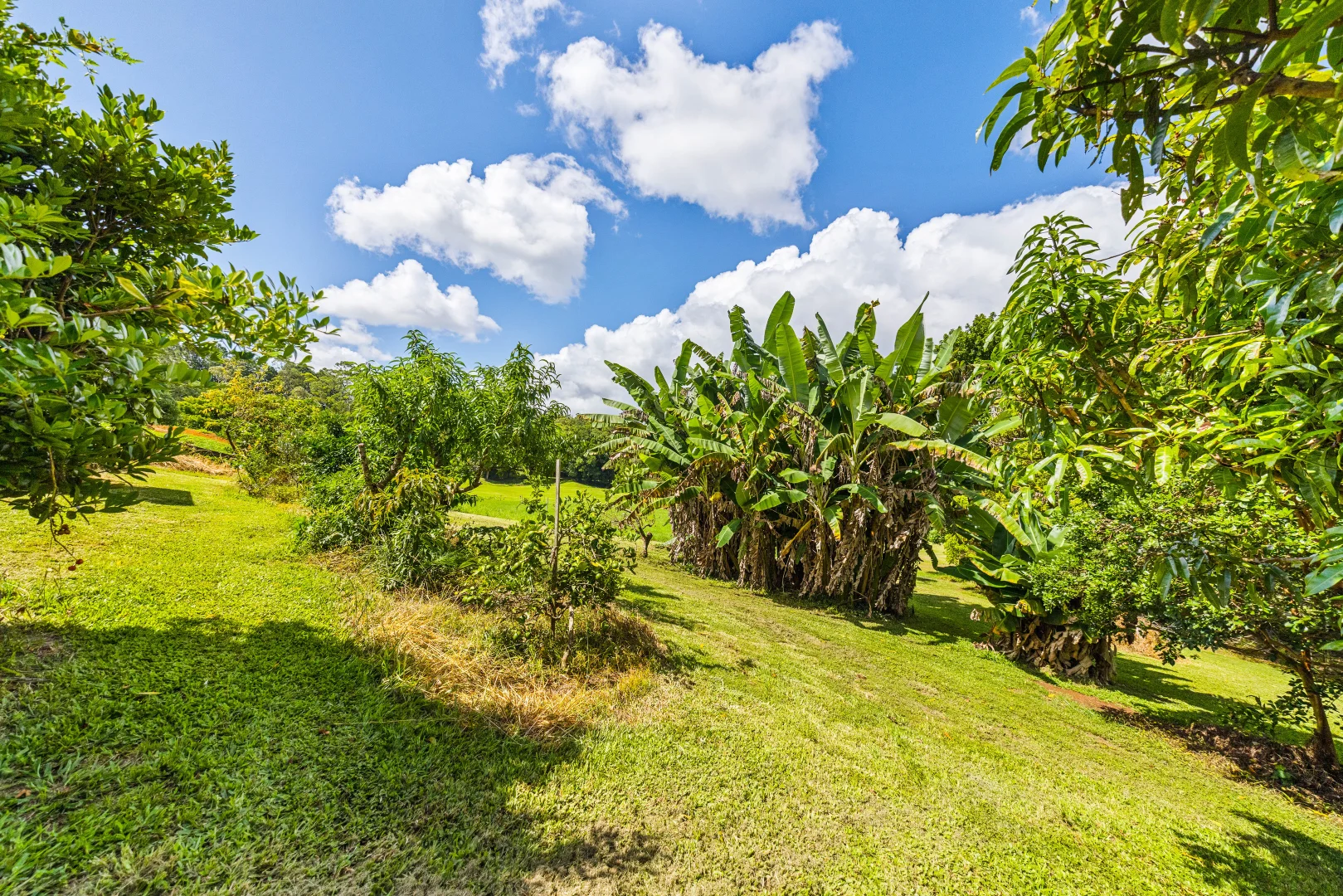 Additional image 32 of 294 Witta Road, Witta QLD 4552