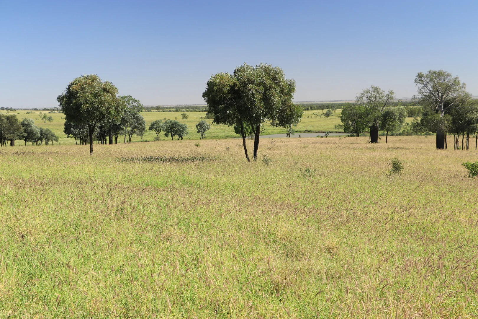 Additional image 14 of 564 ORALLO ROAD, Roma QLD 4455